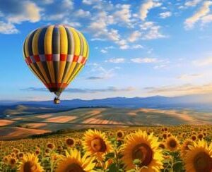 Hot Air Balloon