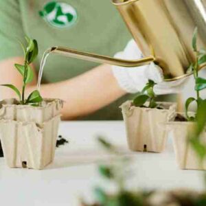 from voicesofconservation.org blog